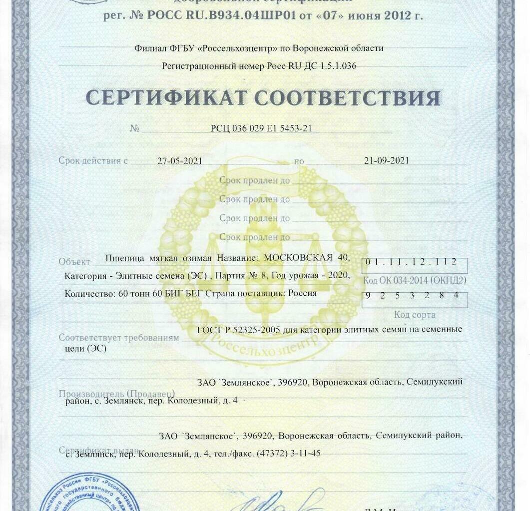 Пшеница мягкая озимая Московская 40 Пшеница мягкая озимая Московская 40