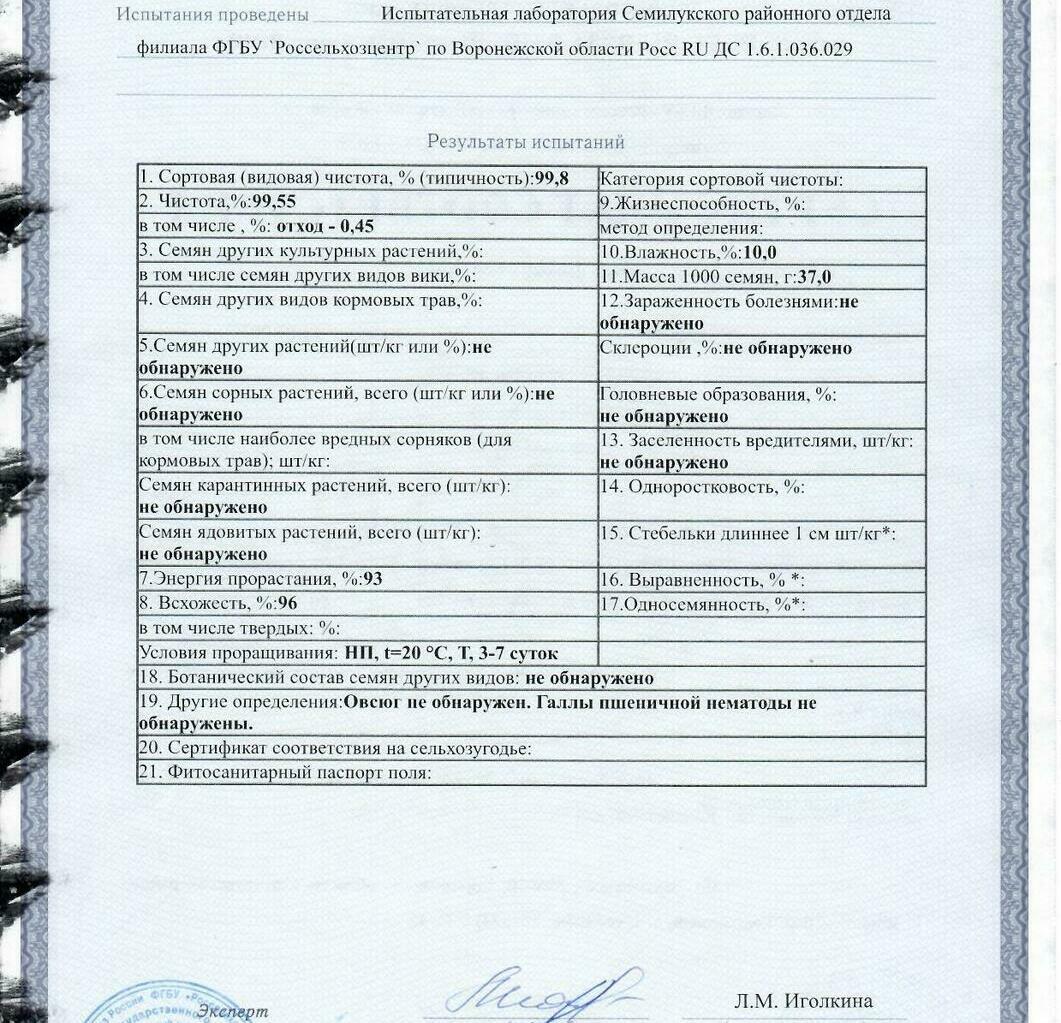 Пшеница мягкая озимая Рубежная Пшеница мягкая озимая Рубежная