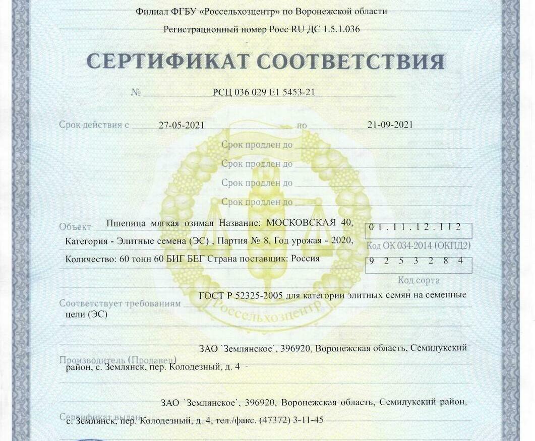 Пшеница мягкая озимая Московская 40 Пшеница мягкая озимая Московская 40