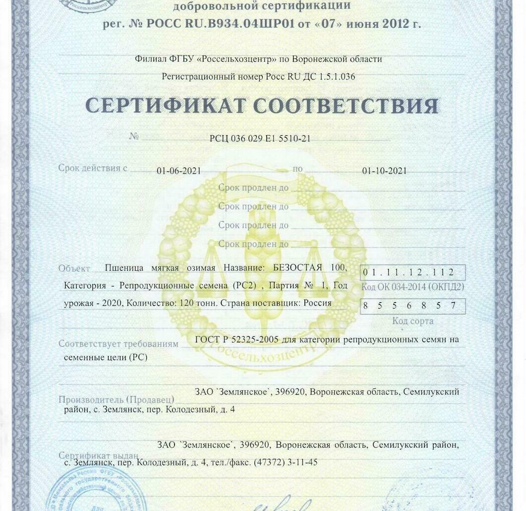 Пшеница мягкая озимая Безостая 100 Пшеница мягкая озимая Безостая 100