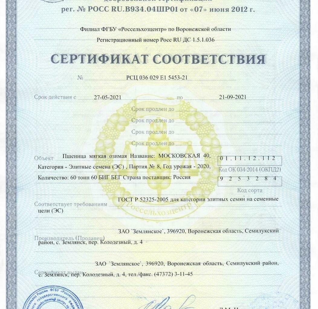 Пшеница мягкая озимая Московская 40 Пшеница мягкая озимая Московская 40