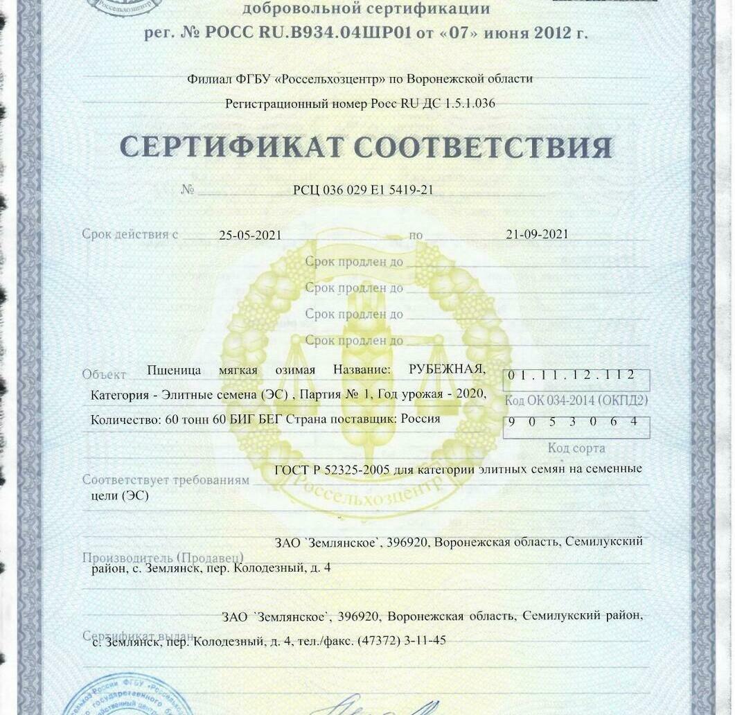 Пшеница мягкая озимая Рубежная Пшеница мягкая озимая Рубежная
