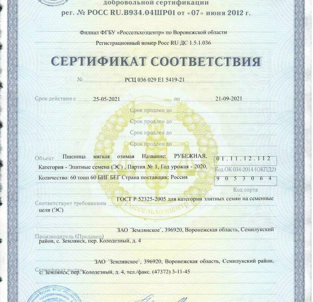 Пшеница мягкая озимая Рубежная Пшеница мягкая озимая Рубежная
