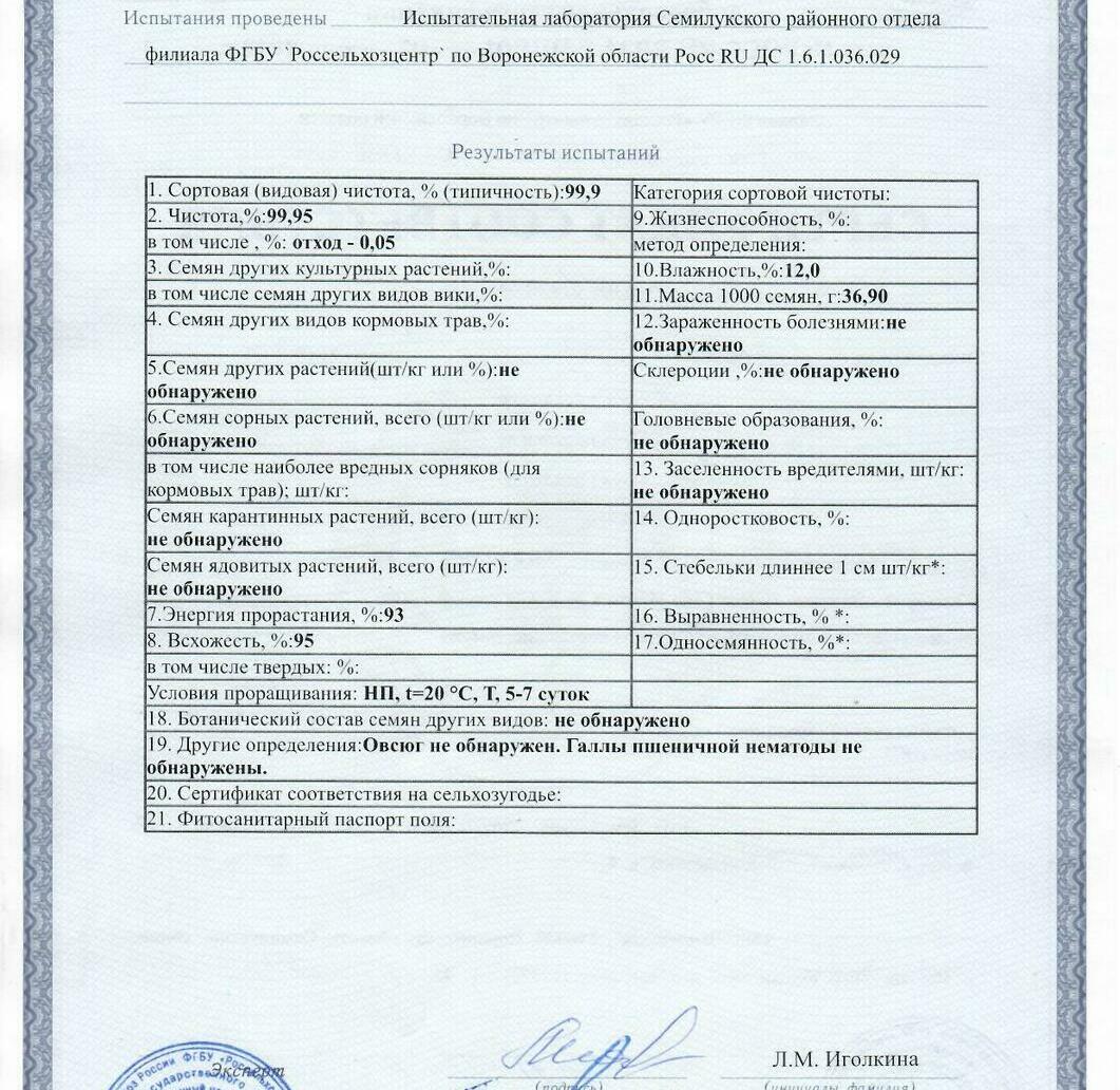 Пшеница мягкая озимая Московская 40 Пшеница мягкая озимая Московская 40