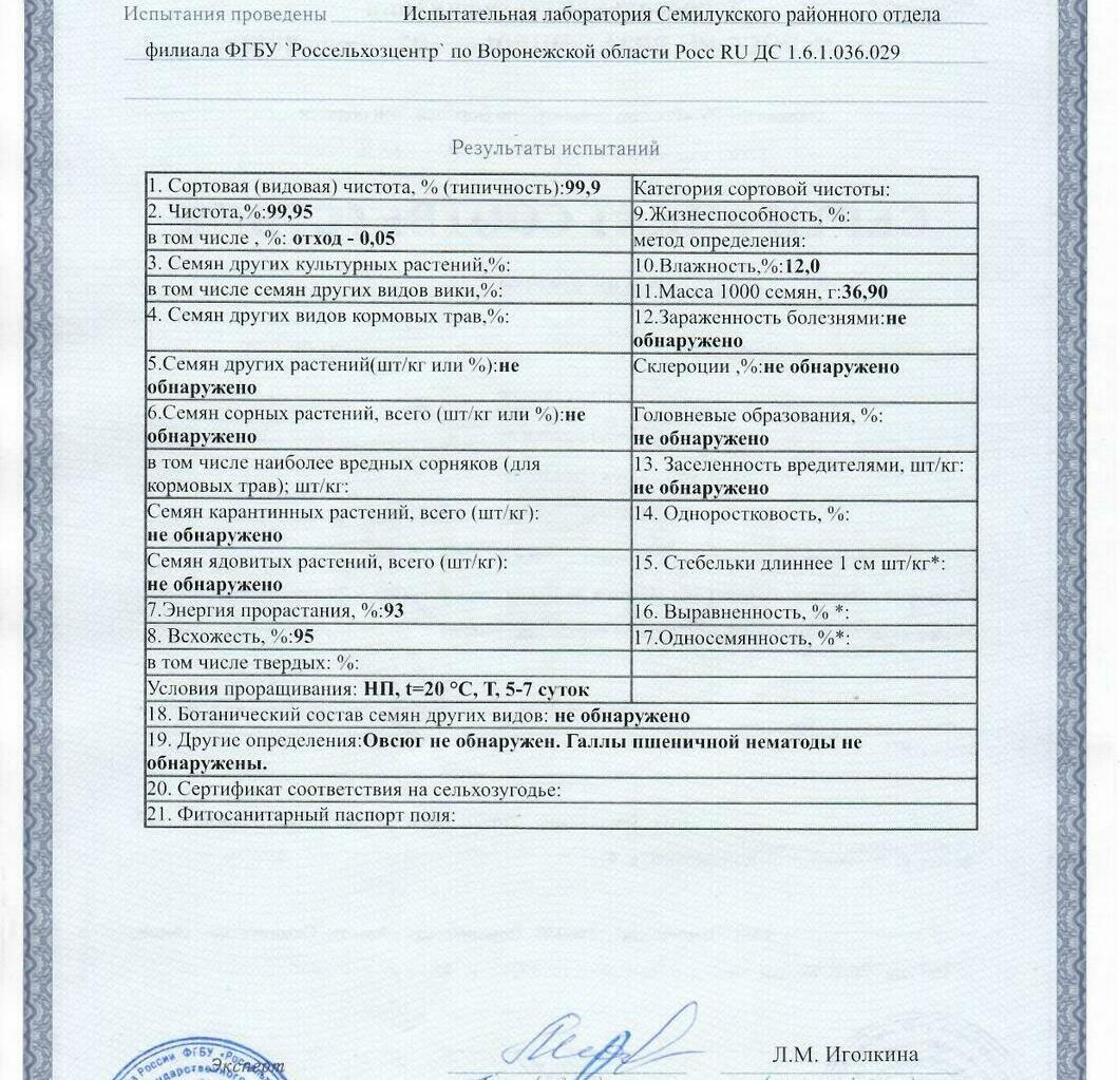 Пшеница мягкая озимая Московская 40 Пшеница мягкая озимая Московская 40