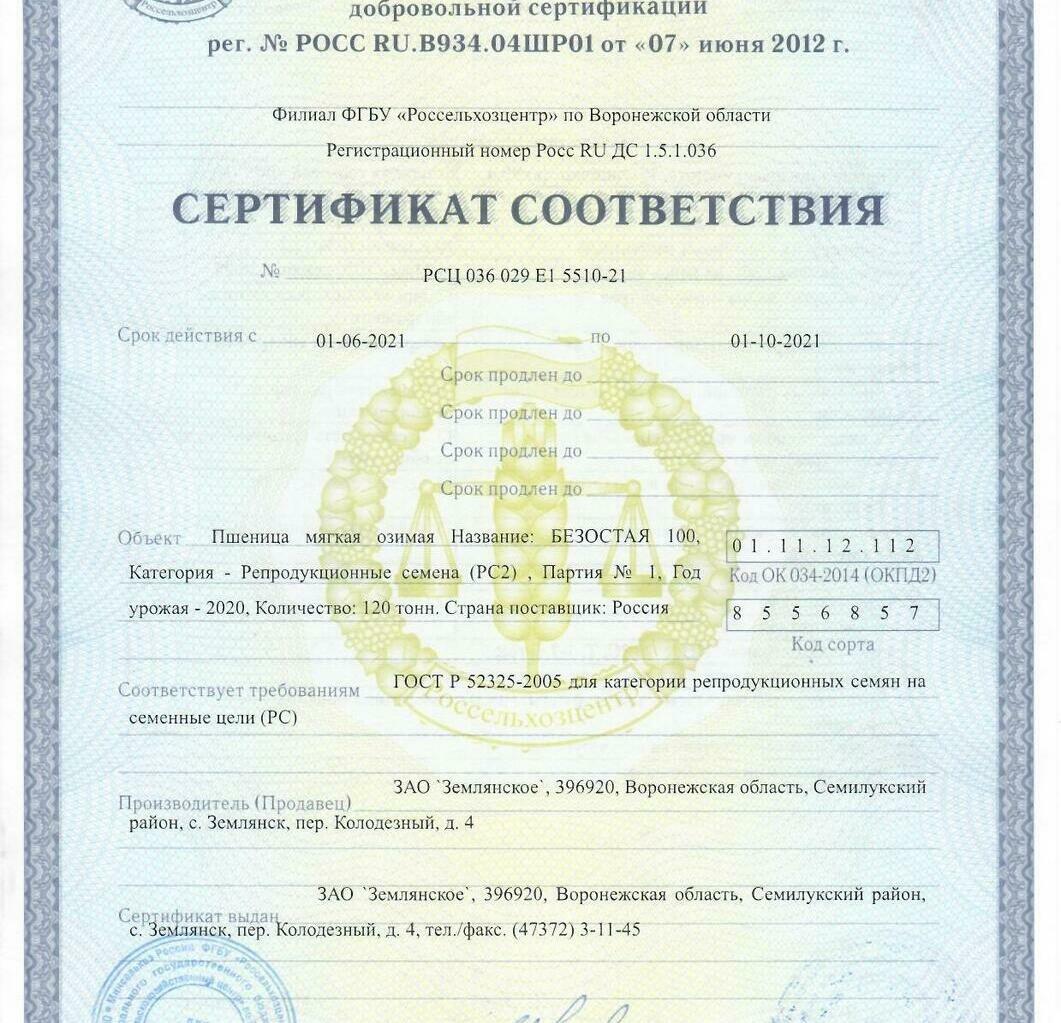 Пшеница мягкая озимая Безостая 100 Пшеница мягкая озимая Безостая 100