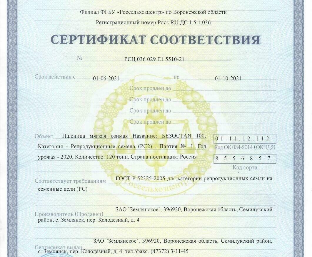Пшеница мягкая озимая Безостая 100 Пшеница мягкая озимая Безостая 100