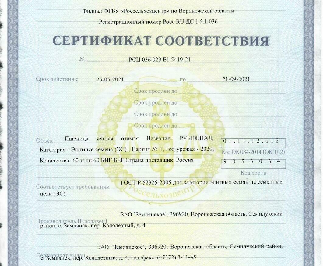 Пшеница мягкая озимая Рубежная Пшеница мягкая озимая Рубежная